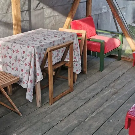 Iancina House & Art Gallery * Salcioara (Dobruja)