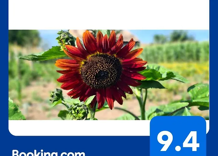 Iancina House & Art Gallery *