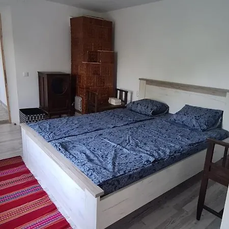 Iancina House & Art Gallery * Salcioara (Dobruja)